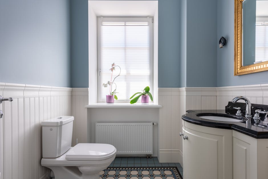 Toilet Repair & Installation in Elizabethtown, KY - The Elizabethtown Plumber